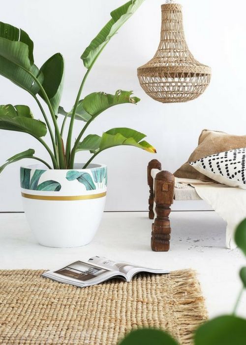 Image-2-Natural-Elements-